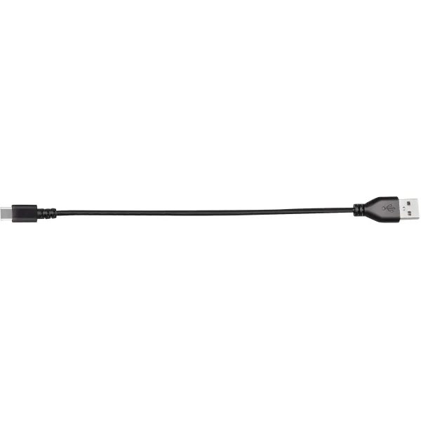 USB-C, 31 cm
