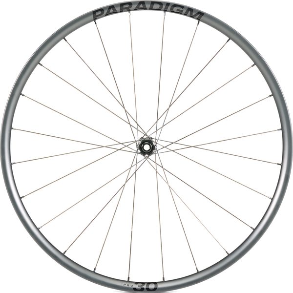 Paradigm Pro 30 Disc 12T, černá