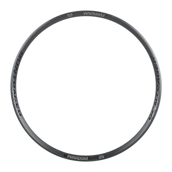 Paradigm Elite 25 Disc 700C 24H Black