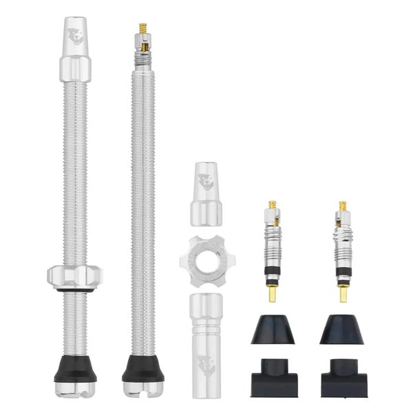 Tubeless Valve Stem Kit 80mm raw silver