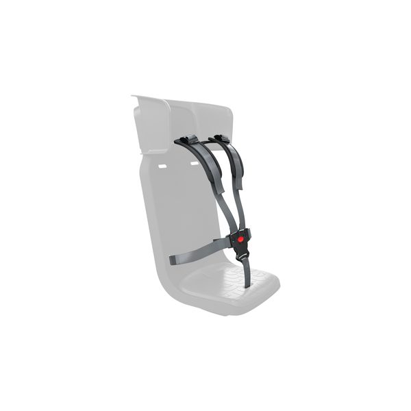 Childseat Fetch+ 4 Harness Black