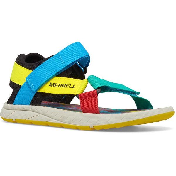 MK267533 Kahuna Web 2.0 multi