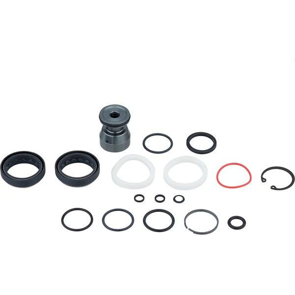 AM SVC KIT 200H/1YR DOMAIN R/RC B1