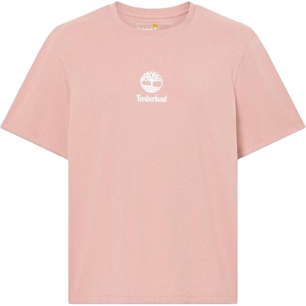 Print Stack Logo Short Sleeve Tee  Ash Rose