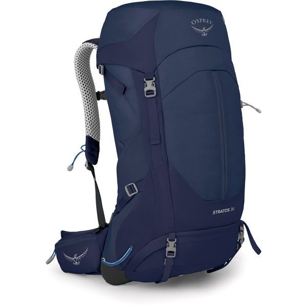 STRATOS 36, cetacean blue