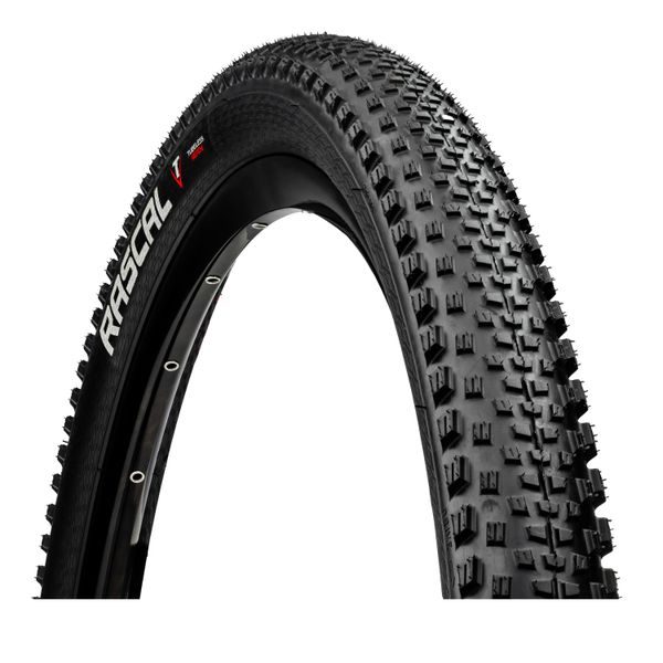 29 x 2,25, R25 RASCAL, kevlar, černý