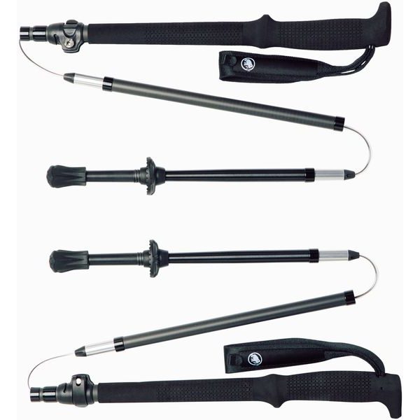Taiss Poles black