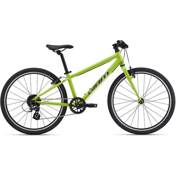 ARX 24 Lime Punch