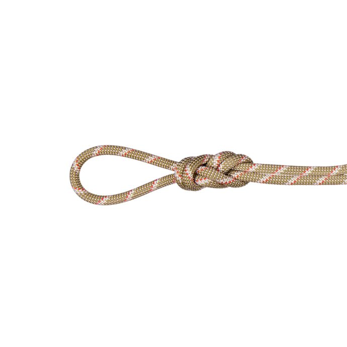 MAMMUT 8.0 Alpine Classic Rope Boa-white