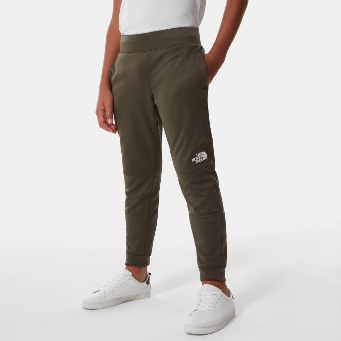 THE NORTH FACE B SURGENT PANT, NEW TAUPE GREEN