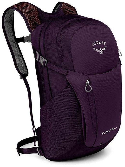 OSPREY DAYLITE PLUS, 20 L amulet purple