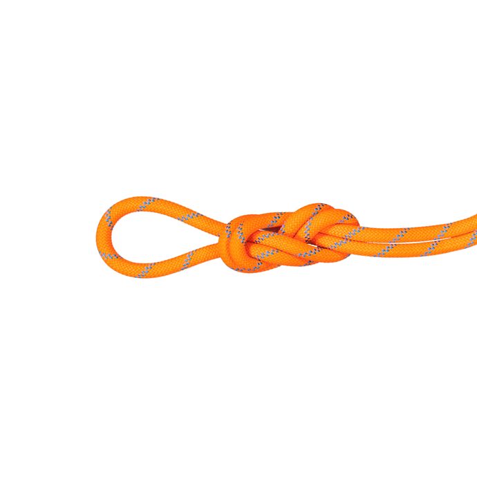 MAMMUT 8.7 Alpine Sender Dry Rope vibrant orange-ocean