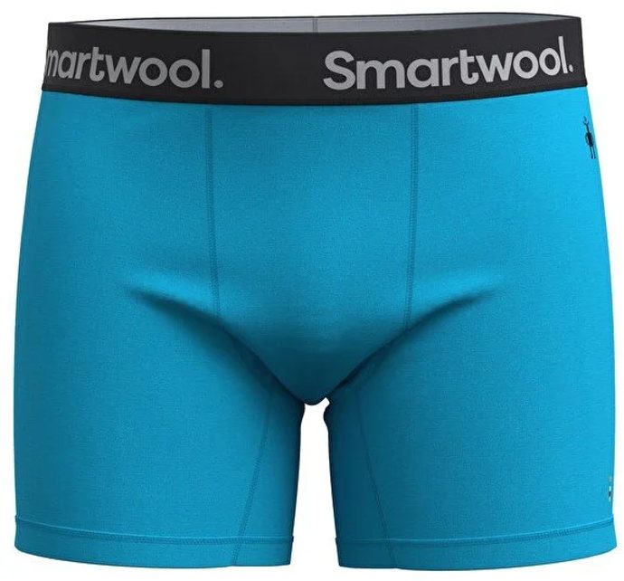 SMARTWOOL M ACTIVE BOXER BRIEF BOXED, pool blue