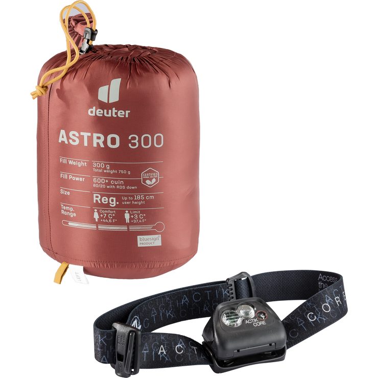 DEUTER Astro 300, redwood-curry