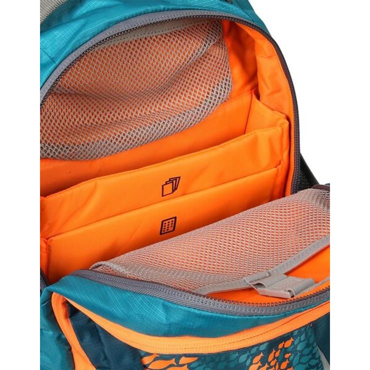BOLL SMART 24 Fish teal