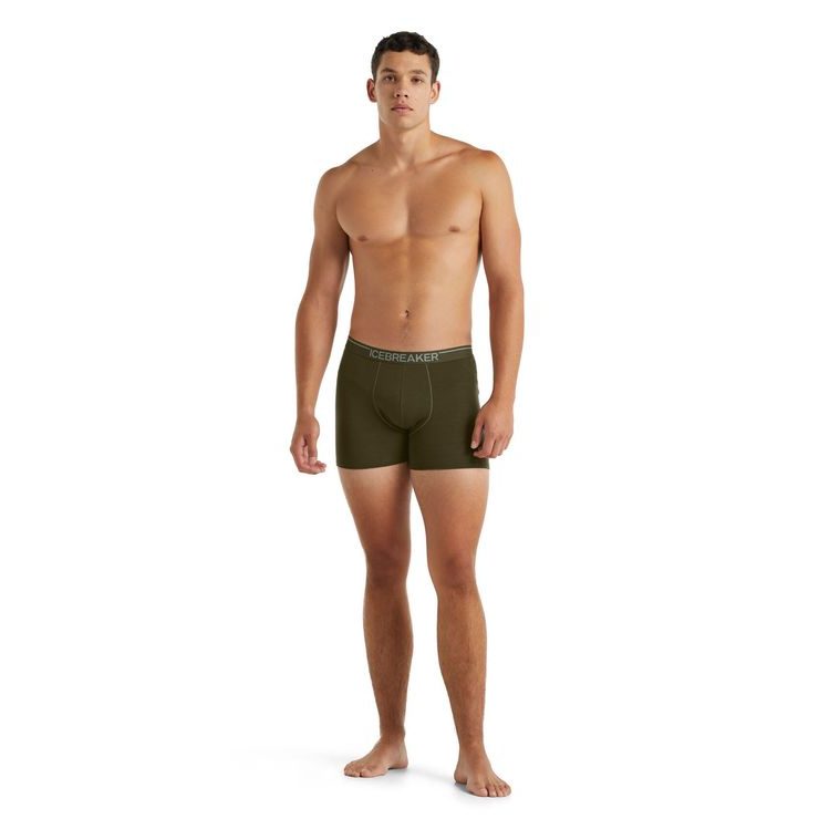 ICEBREAKER M ANATOMICA BOXERS LODEN