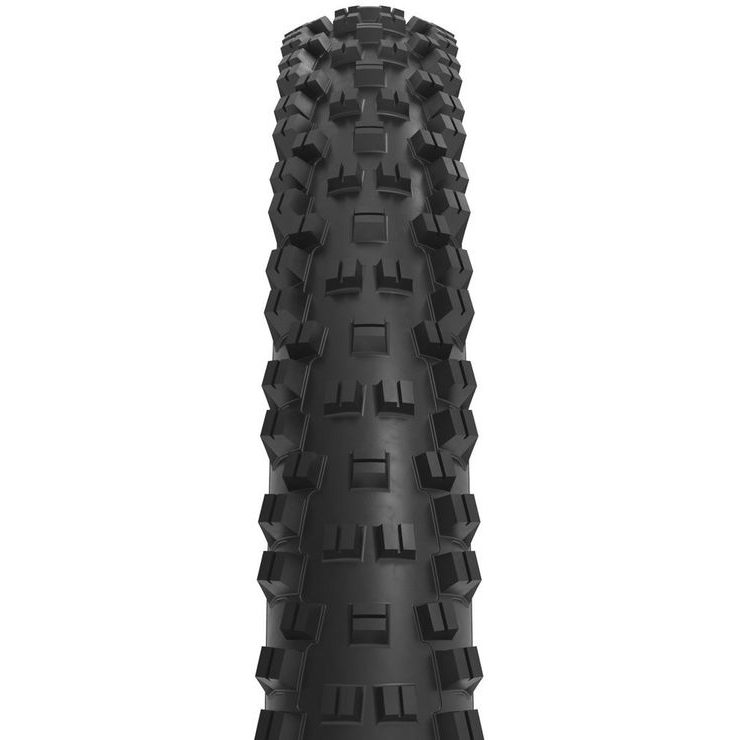 WTB VIGILANTE 2.5 29'' TCS Light High Grip SG2 černá