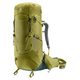 DEUTER Aircontact Core 60+10 cactus-ivy