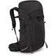 OSPREY TALON 33, black/coal grey
