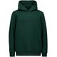 POC POC Hood Jr Pargasite Green