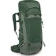 OSPREY TALON 44, green canopy/pine leaf