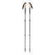 BLACK DIAMOND ALPINE CARBON CORK TREK POLES, tundra