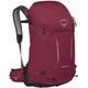 OSPREY HIKELITE 32, chameleon/black
