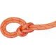 MAMMUT 9.8 Crag Classic Rope 50m orange-white