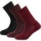 DEVOLD Daily Merino Medium Sock 3Pk Wmn Beetroot Mix