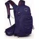 OSPREY RAVEN 14, deep fig