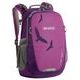 BOLL Falcon 20 BOYSENBERRY