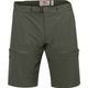 FJÄLLRÄVEN High Coast Hike Shorts M Mountain Grey