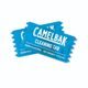 CAMELBAK Cleaning Tablets-8 ks