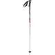 LEKI Rental Classic, anodized natural silver-eloxal black