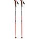 BLIZZARD Allmountain ski poles, neon orange