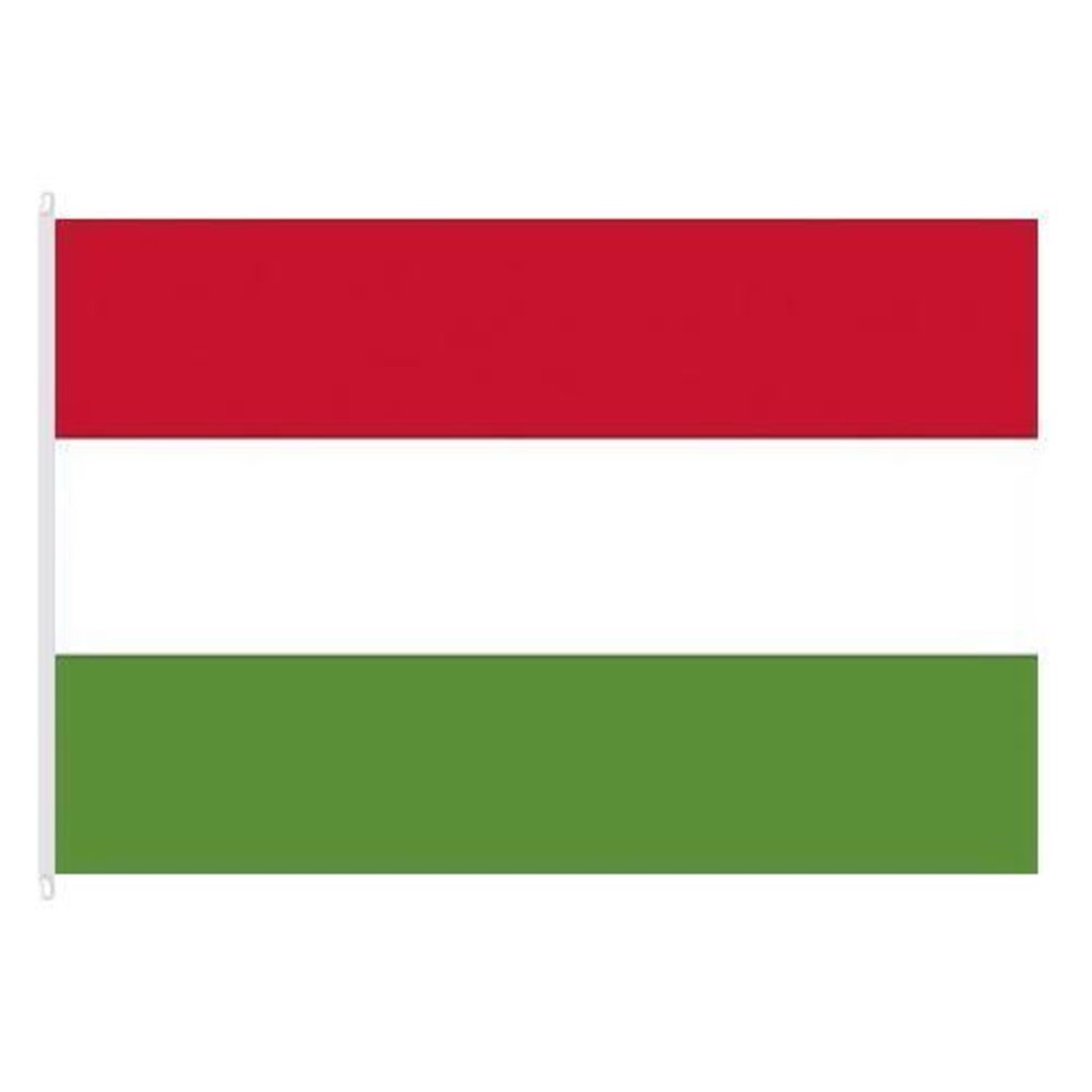 Státní vlajka Maďarska, 100 x 150, s karabinami