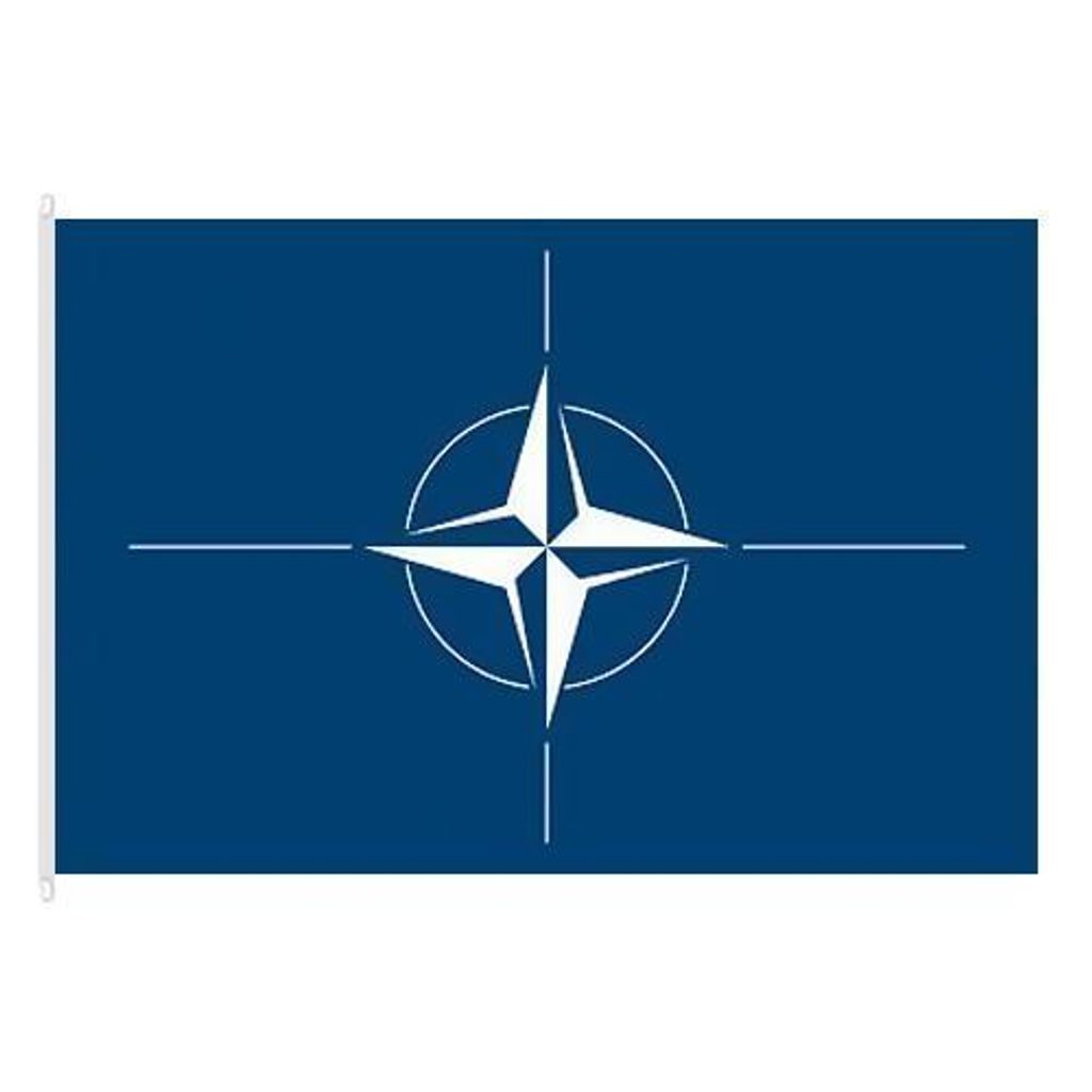 Státní vlajka NATO, 100 x 150, s karabinami