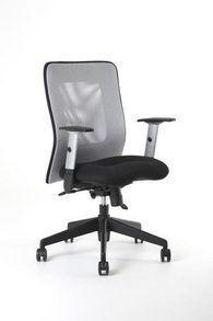 Kancelářská židle Calypso, šedá