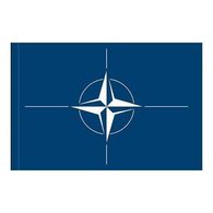 Státní vlajka NATO, 100 x 150, se záložkou