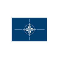 Státní vlajka NATO, 90 x 60, s karabinami