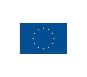 Státní vlajka Evropské unie, 90 x 60, s karabinami