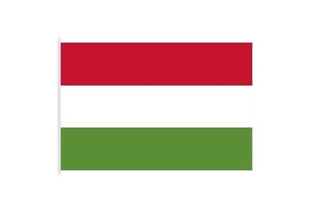 Státní vlajka Maďarska, 100 x 150, s karabinami