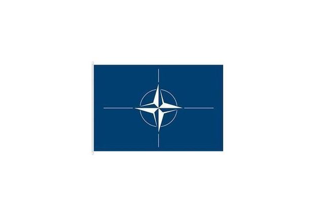 Státní vlajka NATO, 90 x 60, s karabinami