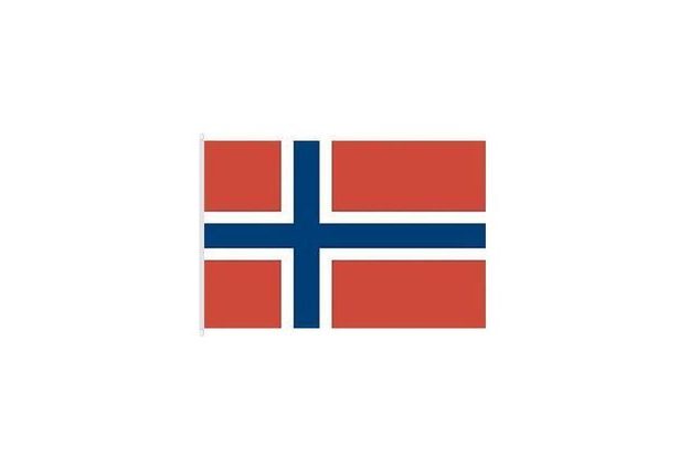 Státní vlajka Norska, 90 x 60, s karabinami