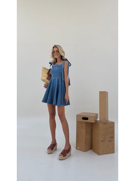 Luna BeChick Denim Dress ❤