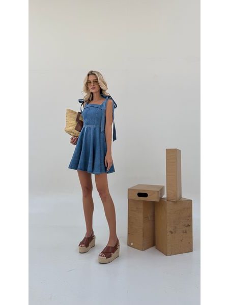 Luna BeChick Denim Dress ❤