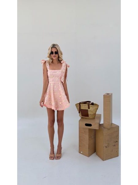 Powder Dress Bryanna BeChick ❤