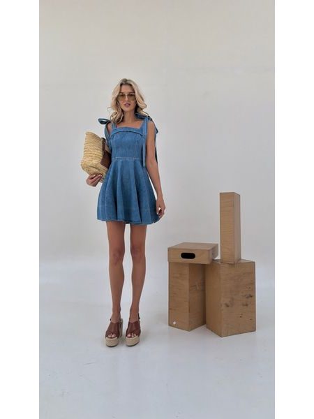 Luna BeChick Denim Dress ❤