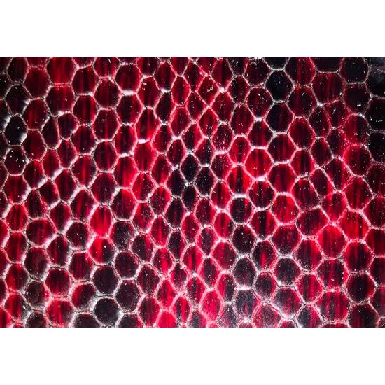 manikúra s pedikúrou Solingen GOLD 713