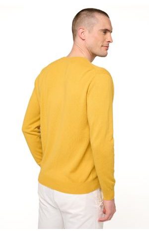 mustard #2